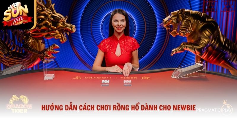 Hướng dẫn cách chơi rồng hổ dành cho newbie